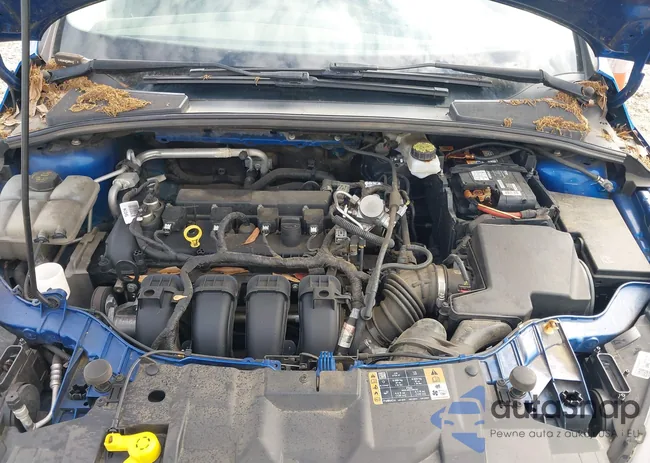 1FADP3F24JL214504: 42132599