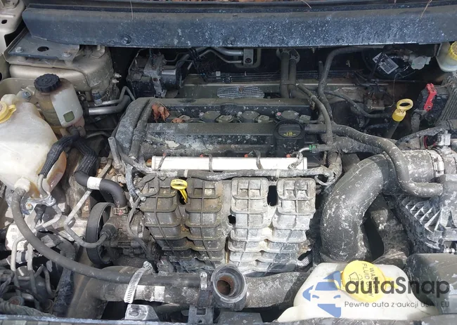 3D4PG4FB5BT556937: 42133092