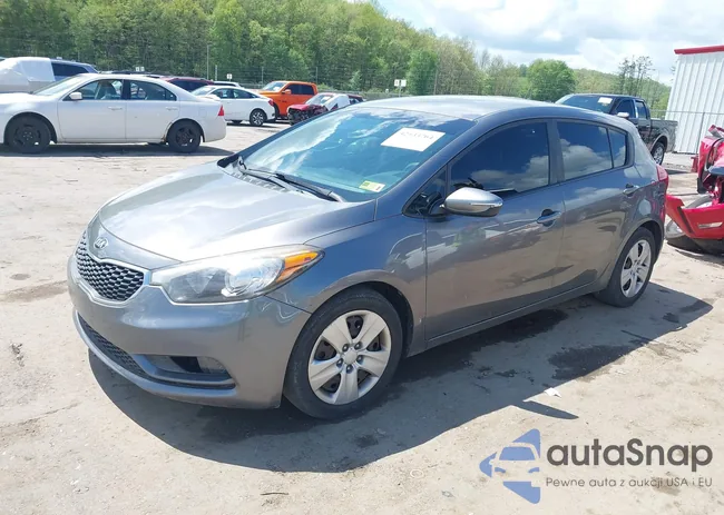 KNAFK5A80G5635588: 42133764