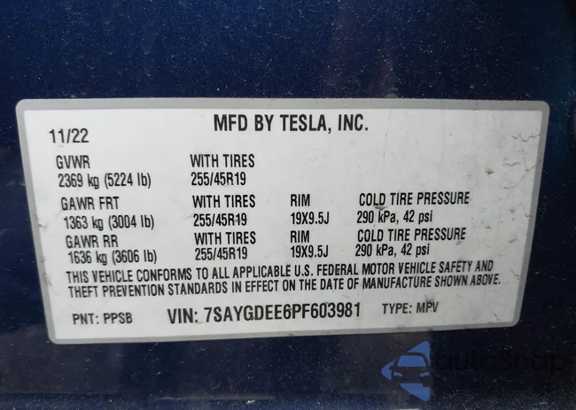 7SAYGDEE6PF603981: 42133348