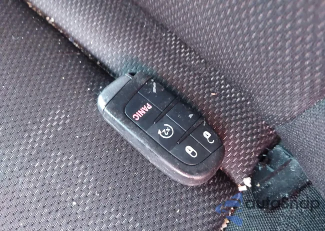 ZACCJBBT6FPB88359: 42134733