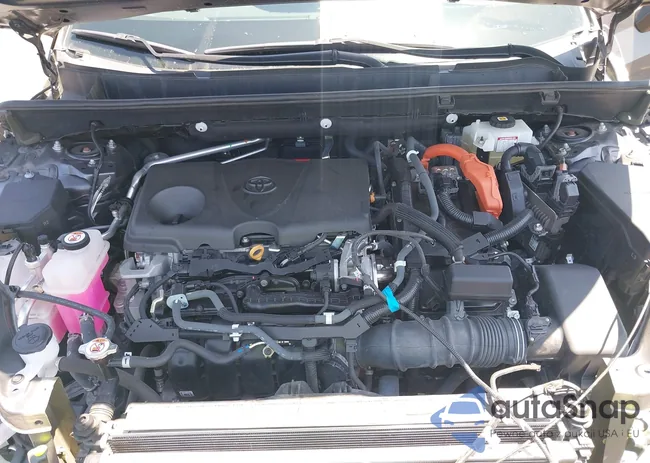 2T3E6RFVXMW016803: 42135617