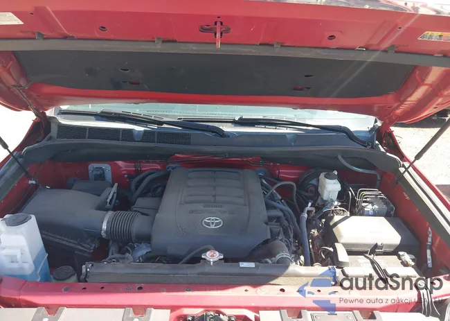 5TFDY5F12MX977368: 42135841