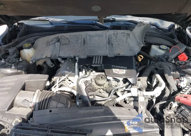 1G6DB5RK1L0153166: 42136616