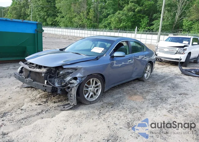 1N4AA5APXBC856519: 42136624