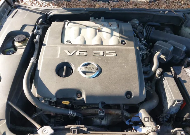 1N4BA41E85C844984: 42136914