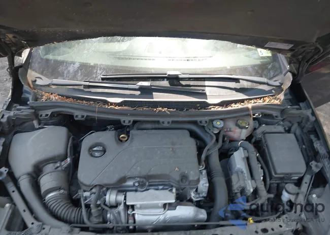 1G1BE5SM1J7179481: 42138506