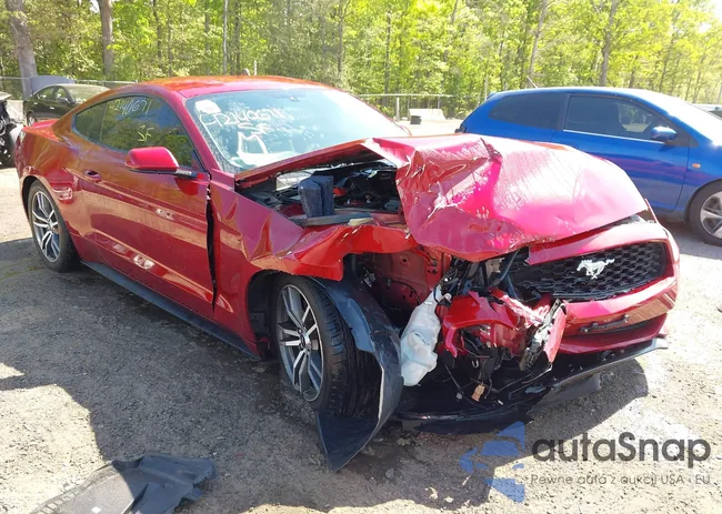 1FA6P8TH9G5264391: 42140671