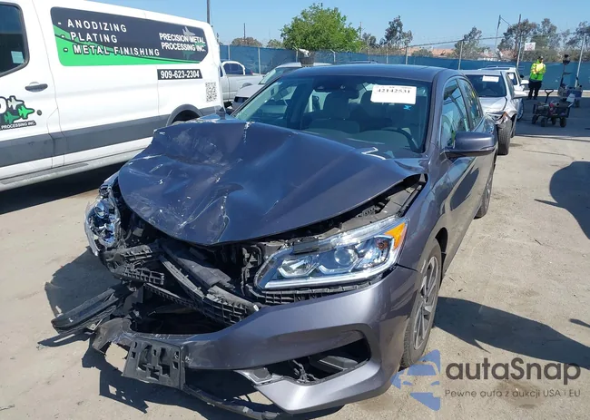 1HGCR2F03GA036843: 42142531