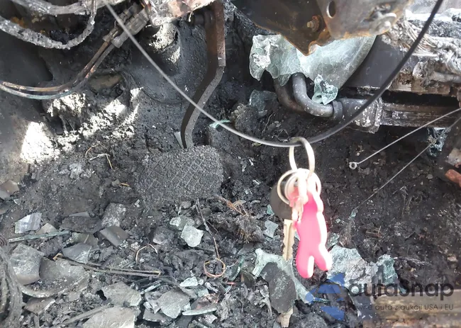 1G8AJ52F64Z156667: 42143697