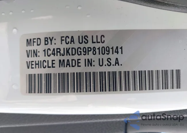 1C4RJKDG9P8109141: 42143770