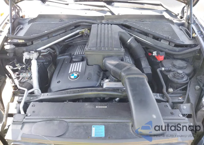 5UXFE43519L266213: 42143230