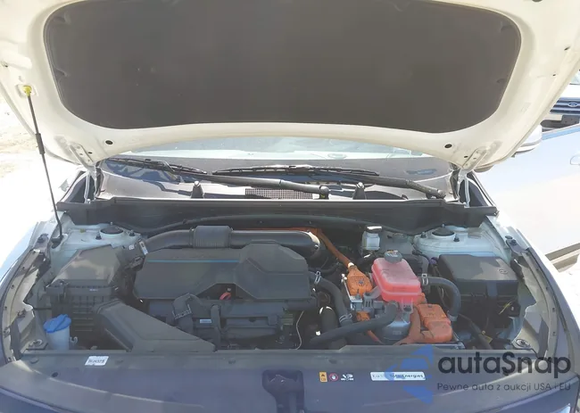 KNDPVCAG1P7072520: 42144538