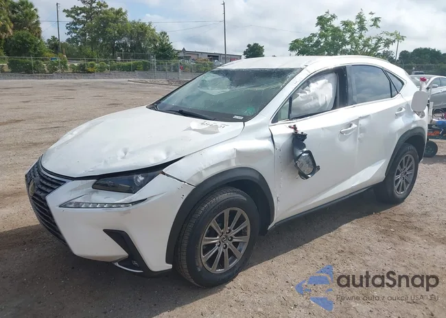 JTJYARBZ7J2092243: 42144623