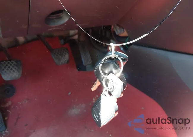 SHHEP33563U404564: 42144902