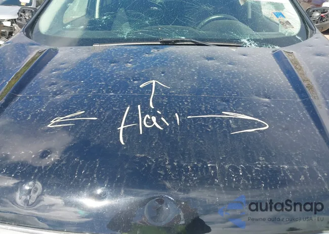 2FMPK4G97JBB79427: 42145566