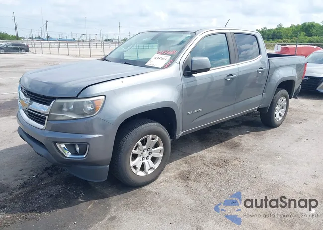 1GCGSCEN5K1126690: 42145681