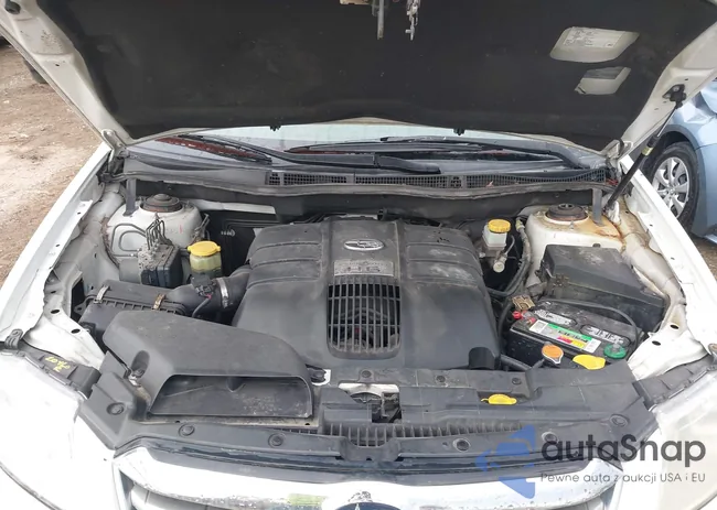 4S4WX90D094401465: 42145913