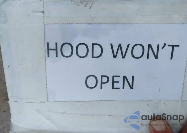 4S4WX82D874405333: 42146033