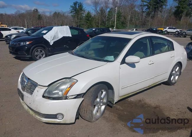 1N4BA41E64C929997: 42145259