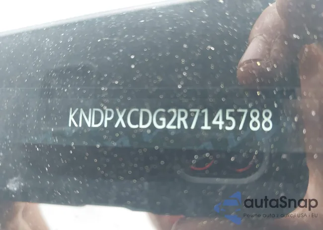 KNDPXCDG2R7145788: 42146841