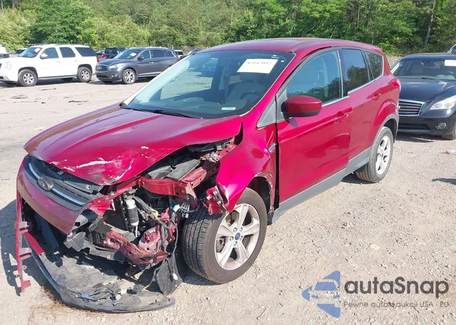 1FMCU0G99FUA80398: 42147057