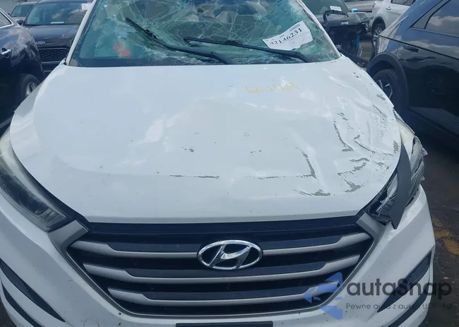 KM8J23A47JU660169: 42146231