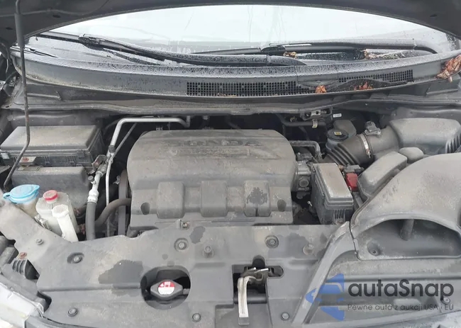 5FNRL5H31GB021753: 42148577