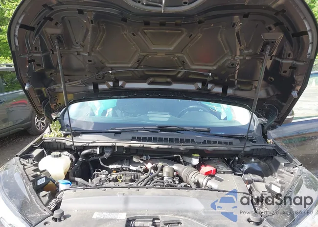 2FMPK4K95NBA45450: 42149752