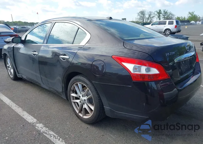 1N4AA5AP5BC856265: 42149353