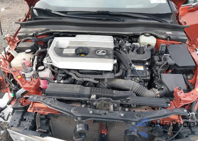 JTHU9JBH3K2003383: 42151535