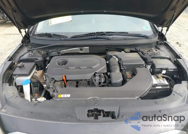 5NPE34AF2FH127934: 42151488