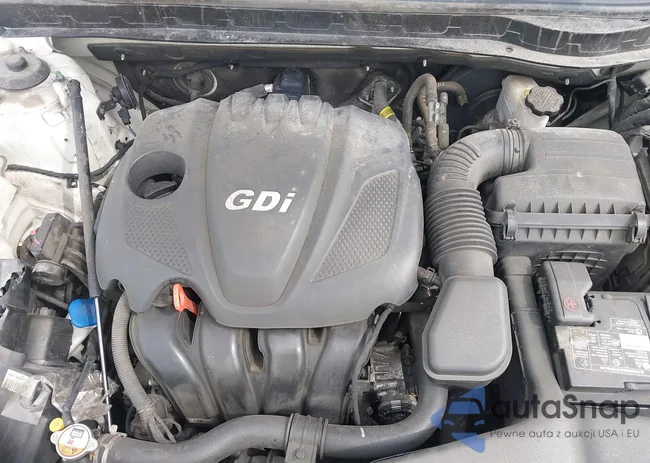 KNAGM4A77F5548799: 42153058