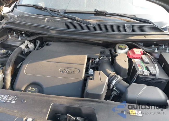 1FM5K7D89FGC21598: 42152137