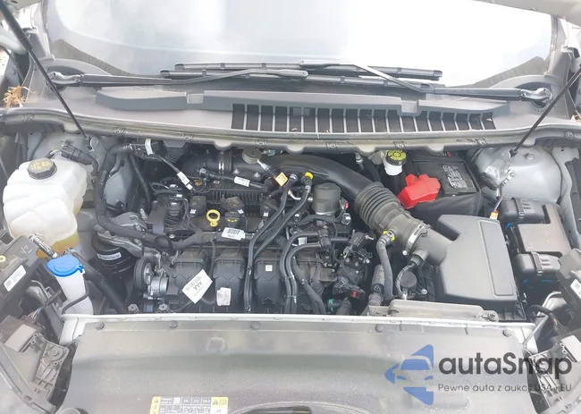 2FMPK4J91PBA50410: 42154992