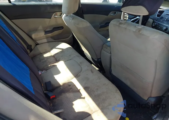 19XFB2F53FE281911: 42157020