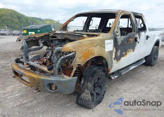 1FTFW1EV5AFD23977: 42157671