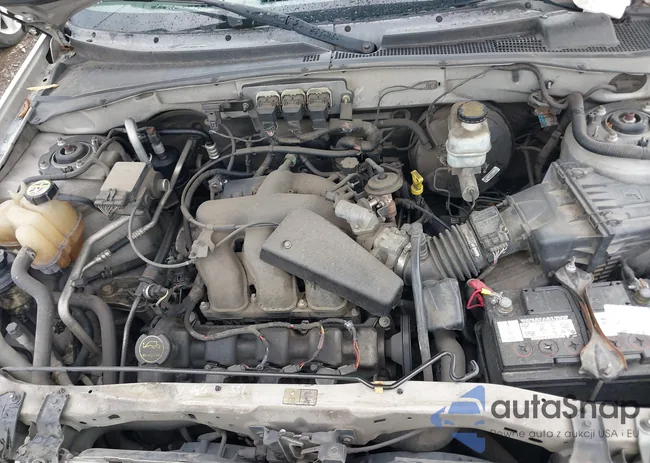 1FMYU03185KE08782: 42158663