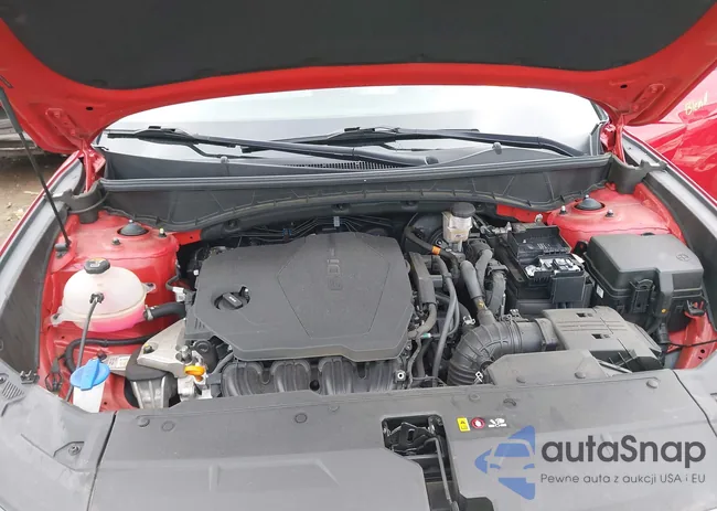 5NMJFCAE3PH220967: 42158431