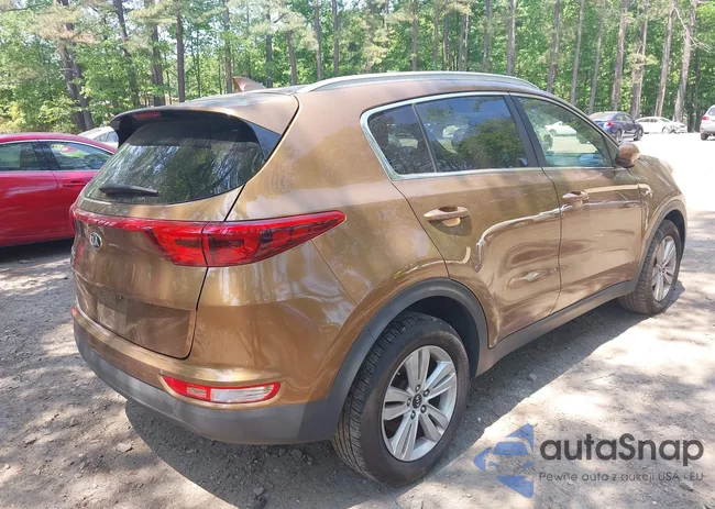 KNDPMCAC0H7033113: 42160569