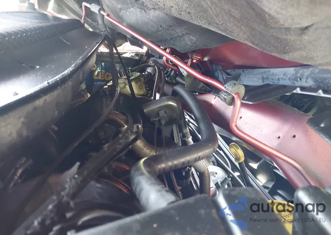 2A4GP44R36R897172: 42160880