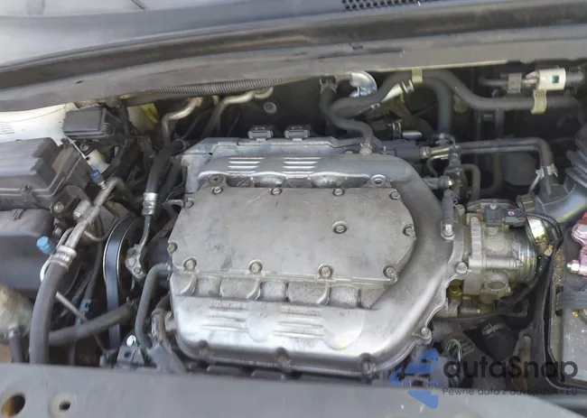 5FNRL38829B014152: 42160341