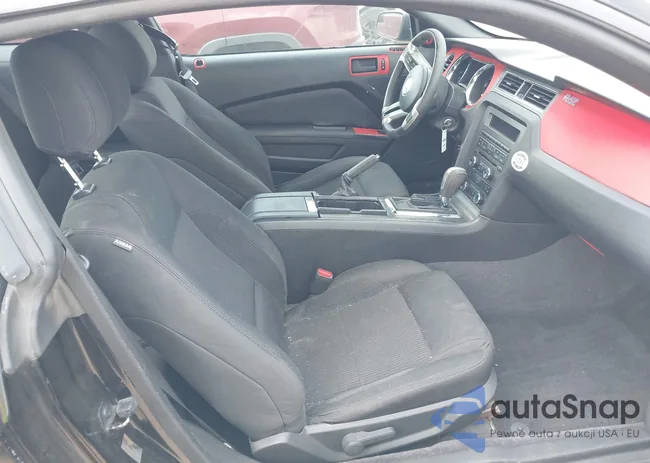 1ZVBP8AM4D5243305: 42162203