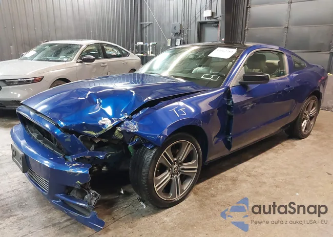 1ZVBP8AM4E5272840: 42162282