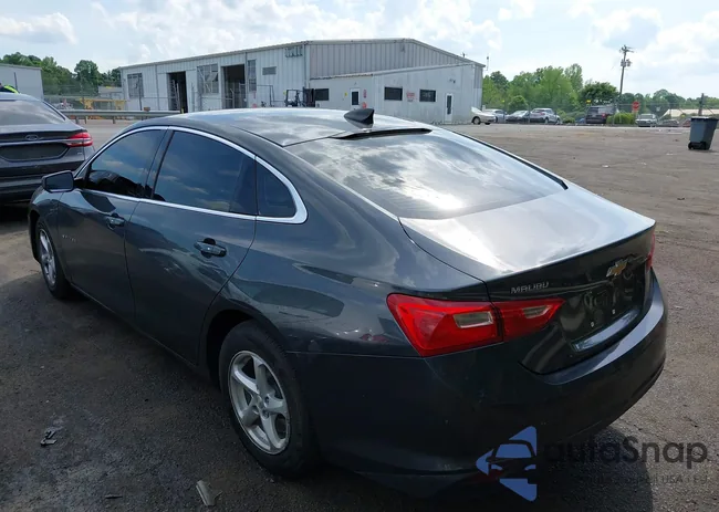 1G1ZB5ST4HF196404: 42162369