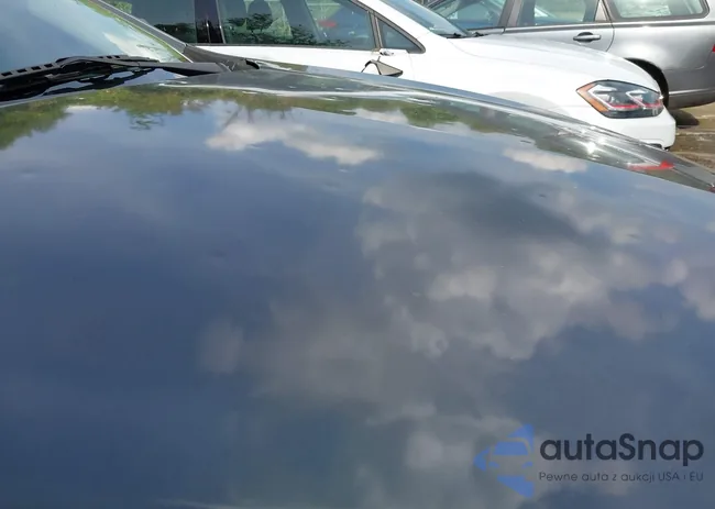 1G1ZB5ST4HF196404: 42162369