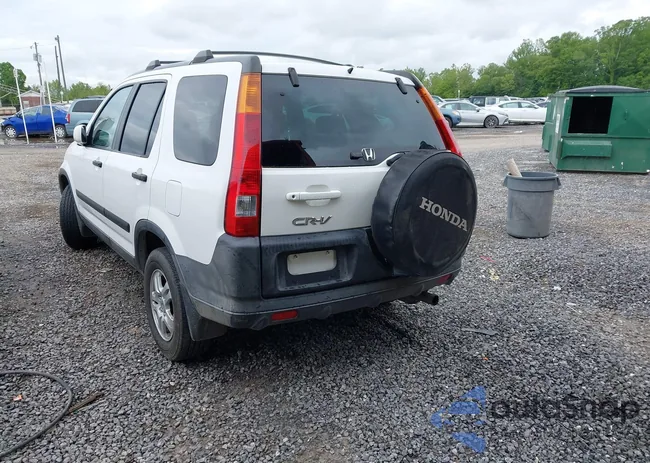 SHSRD78884U236443: 42163403