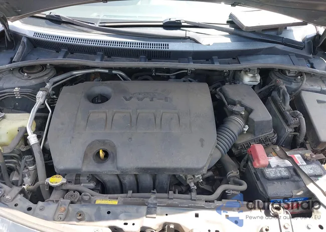 2T1BU4EE7DC004924: 42164641