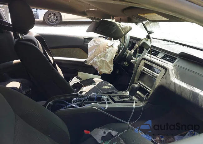 1ZVBP8AM4E5221936: 42164969