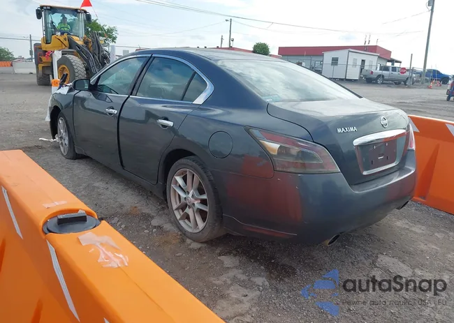 1N4AA5AP3DC811411: 42165835